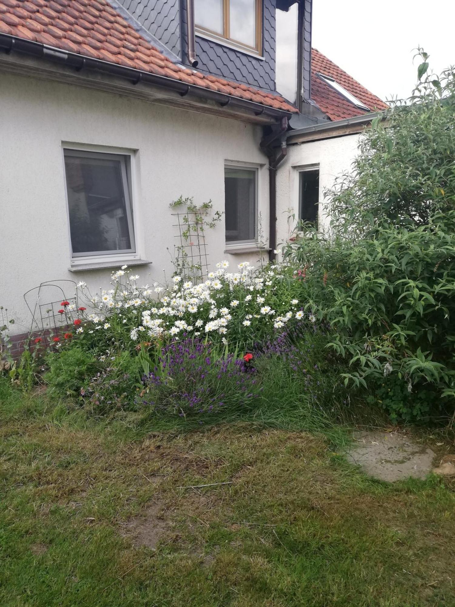 Ferienwohnung Wittenburg Exteriér fotografie